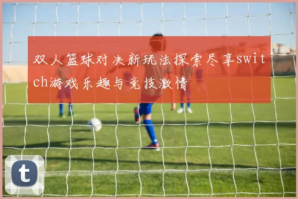 双人篮球对决新玩法探索尽享switch游戏乐趣与竞技激情